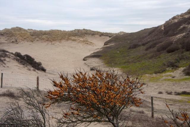Pakhuis 5 Katwijk aan Zee Esterno foto