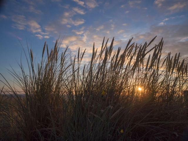 Pakhuis 5 Katwijk aan Zee Esterno foto